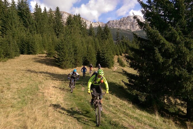 Mountain Bike Day Tour around Brasov - Riding the Poiana Brasov start: the best kind of warm-up