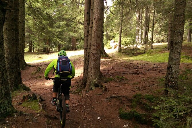 Mountain Bike Day Tour around Brasov - Evening downhill riding: when timing really changes the experience