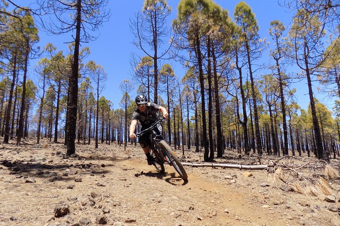 Mountain bike excursions - Key highlights at a glance