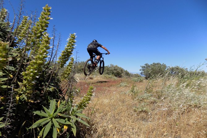 Mountain bike excursions - What this Gran Canaria MTB outing really feels like