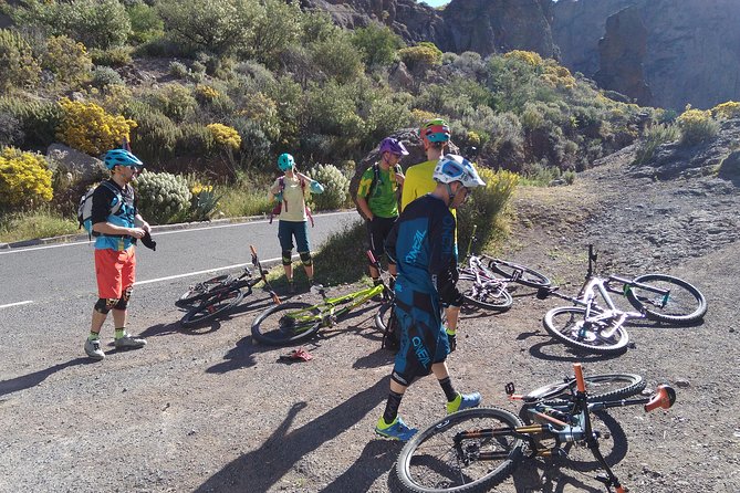 Mountain bike excursions - The rhythm of the day: transport, pace, and group size