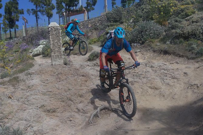 Mountain bike excursions - Stop 1: Parque Rural del Nublo viewpoints and rocky wonder