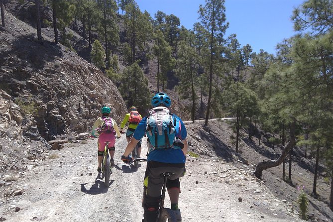 Mountain bike excursions - Stop 2: Parque Natural Pilancones and the pine-forest feel