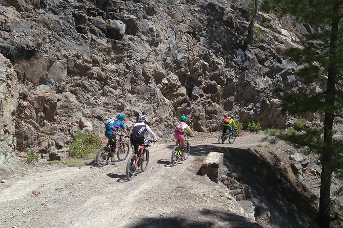 Mountain bike excursions - Guide quality: where this tour earns its best reviews