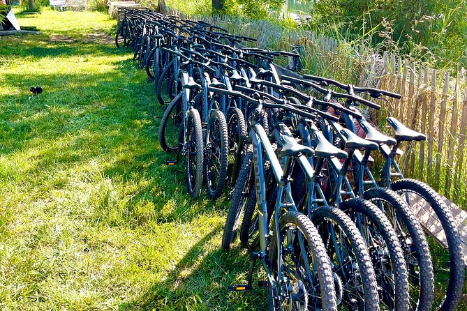 Mountain bike rental in Camargue - Where you meet and how the timing works