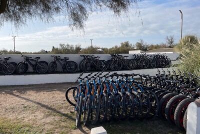 Mountain bike rental in Camargue - Stop 1: Parc Naturel Regional de Camargue and what you’re actually looking for