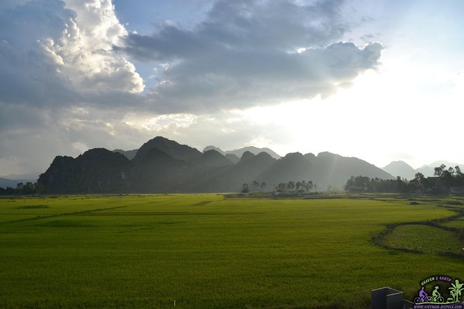 Mountain Bike Riding from Hoi An - What you’ll actually ride: rice fields, villages, and river islands