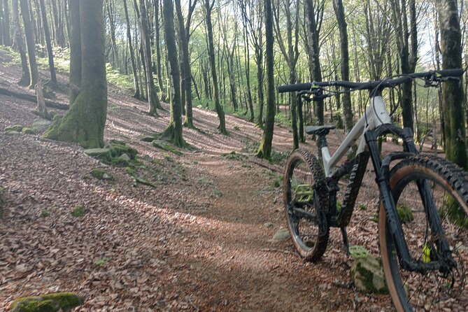 Mountain Bike Small Group Tour in San Sebastian - Pacing and Fitness: What Moderate Really Means