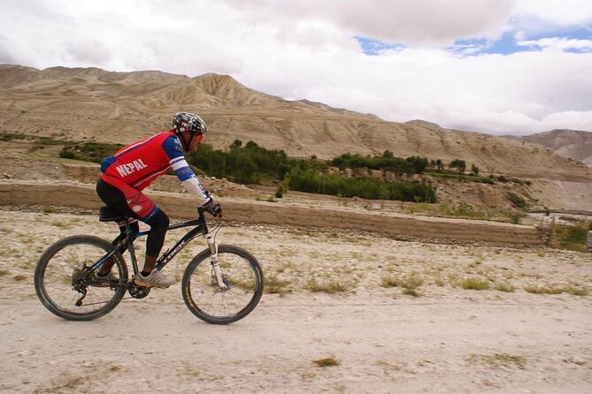 Mountain Bike Tour - Lunch with tea and coffee: fueling the second half