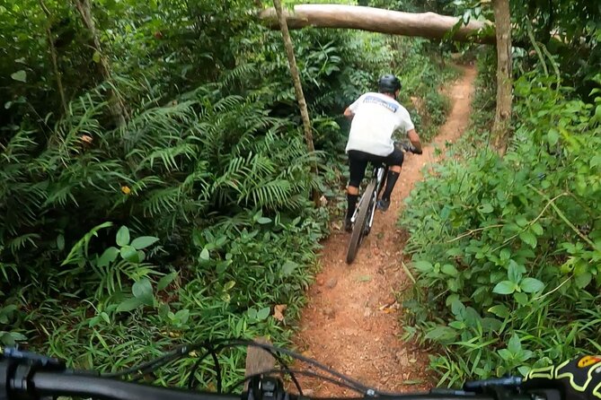Mountain Bike Tour - Cairns - Key Things I’d Plan Around