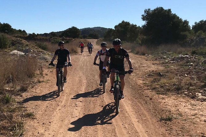 Mountain Bike Tour Font de la Mata - Level Options: Beginners Can Do It, But Choose Smart