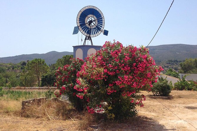 Mountain Bike Tour Font de la Mata - Included Perks: The Stuff That Makes Value Feel Real
