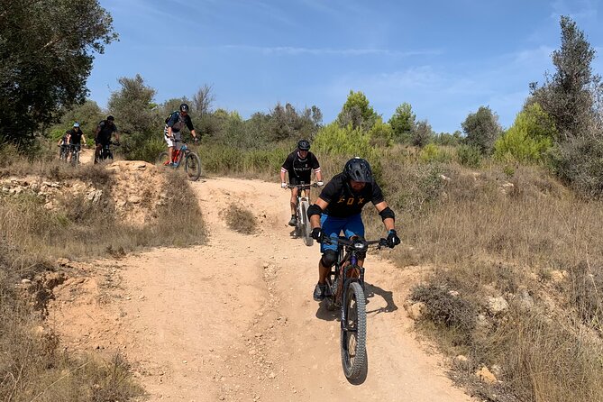Mountain Bike Tour Font de la Mata - Weather Matters Here