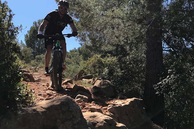 Mountain Bike Tour Font de la Mata - What the Route Feels Like: Dusty Trails, Singletrack, and Punchy Sections