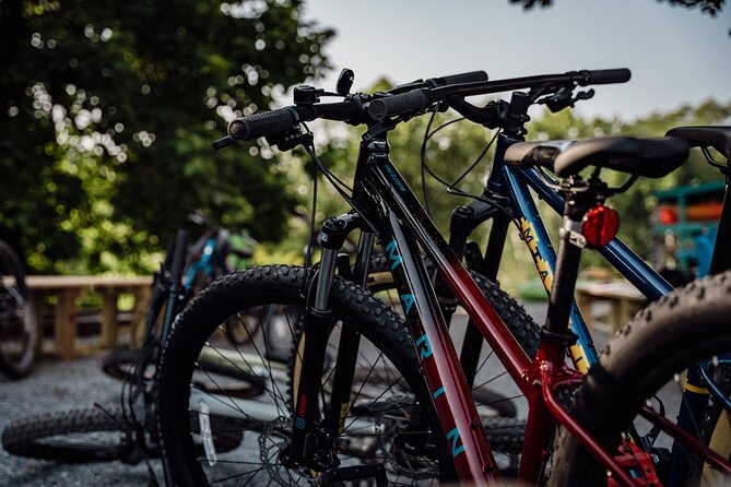 Mountain Bike Tour from The Roanoke Star - Meeting at Wasena Ave: what your 11:00 am day really looks like