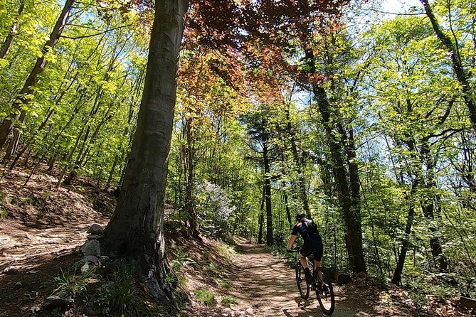Mountain Bike tour in Spina Verde natural park - Key points at a glance before you book