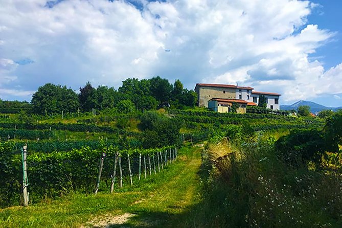 Mountain Bike tour in Spina Verde natural park - Why ride Spina Verde with a guide near Lake Como?