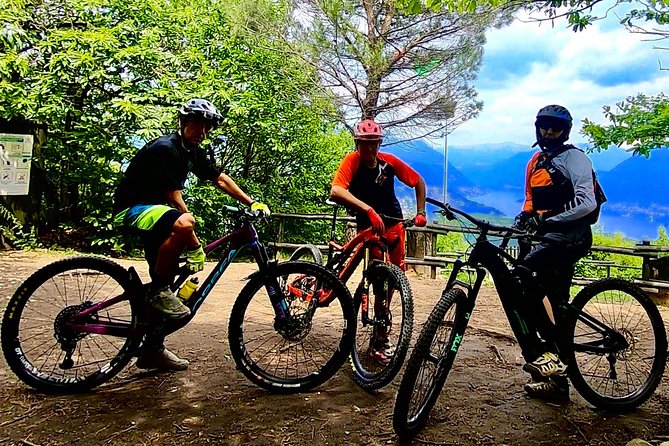 Mountain Bike tour in Spina Verde natural park - Riding toward Switzerland: border-area scenery and vineyard time
