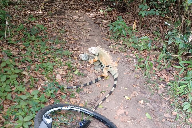 Mountain Bike tour to a Pristine Spring and Cave - Edwin’s guiding style: why the tour feels personal