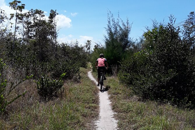 Mountain Bike tour to a Pristine Spring and Cave - Price and value: why $140 feels reasonable here