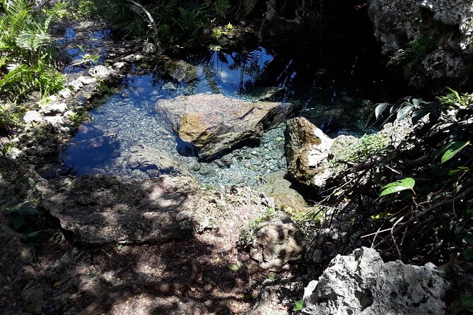 Mountain Bike tour to a Pristine Spring and Cave - Should you book this San Juan mountain bike and cave adventure?