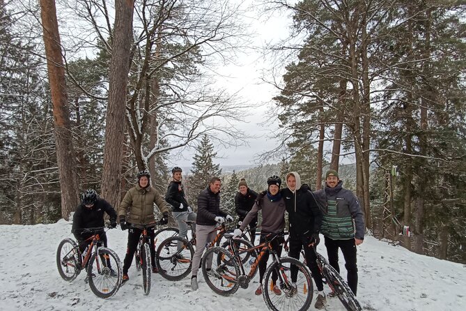 Mountain Bike Tour to Pavilniai Regional Park - Stop 1: Uzupis, the artistic district with a freedom-of-expression vibe