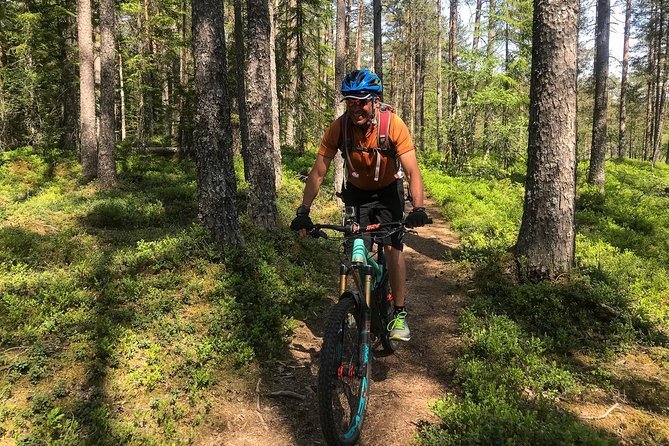 Mountain Bike - Voss Forest - Voss Forest Mountain Biking: Flowy singletrack with real flexibility