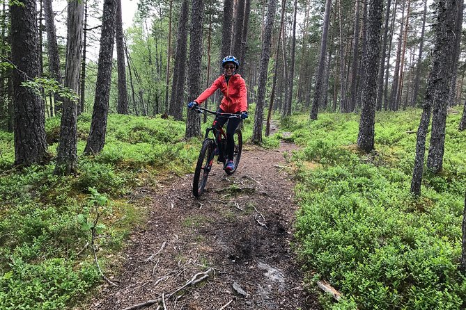 Mountain Bike - Voss Forest - The easy option: 10 km gravel double track for beginners and families