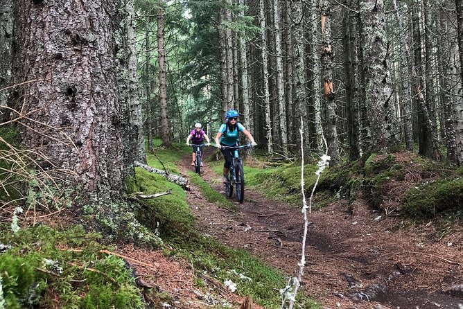 Mountain Bike - Voss Forest - Swimming-hole style breaks: nature time beyond biking
