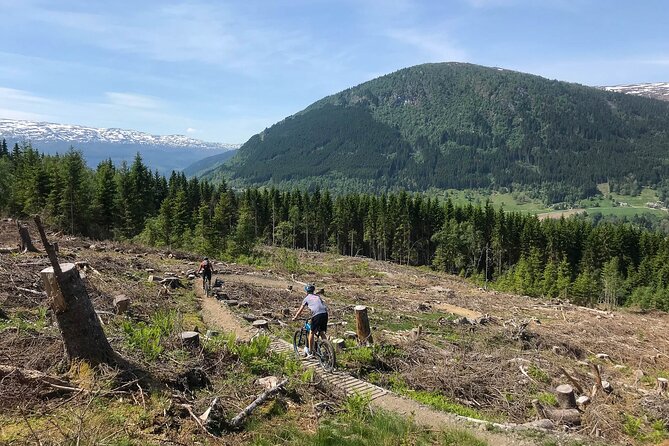 Mountain Bike - Voss Storålsen - What You’ll Ride: Berms, Rollers, Jumps, Rock Rolls, and Roots