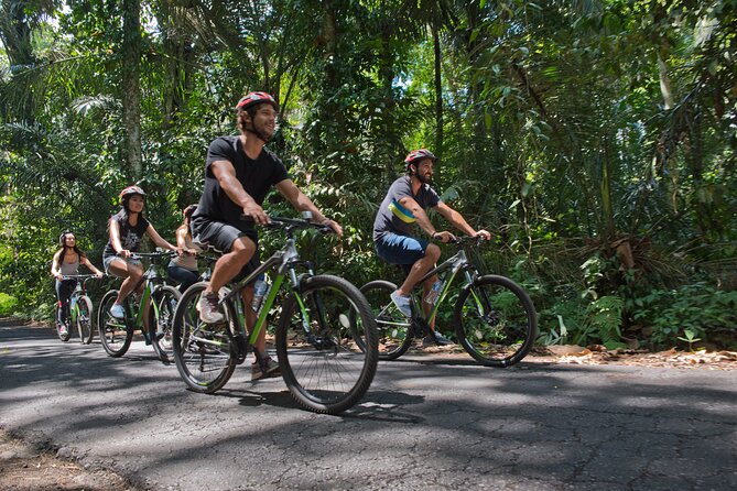 Mountain Cycling Tour - The ride itself: valleys, villages, temples, and rice fields