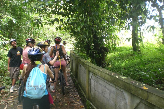 Mountain Cycling Tour - Fitness, kids, and the “downhill” comfort factor