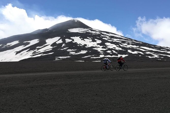 Mt. Etna Cycling to the Top small group - Climbing into Etna Natural Park: lava flows, black sand, and pine shade