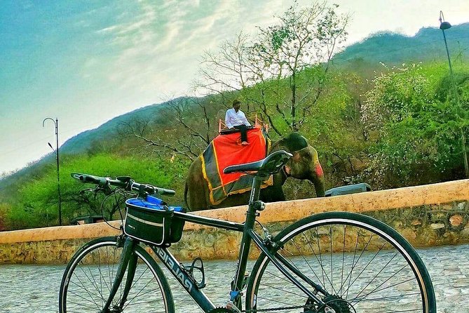 Nahargarh Cycle Tour in Jaipur - Who This Jaipur Bike Tour Fits Best (and Who Should Skip)