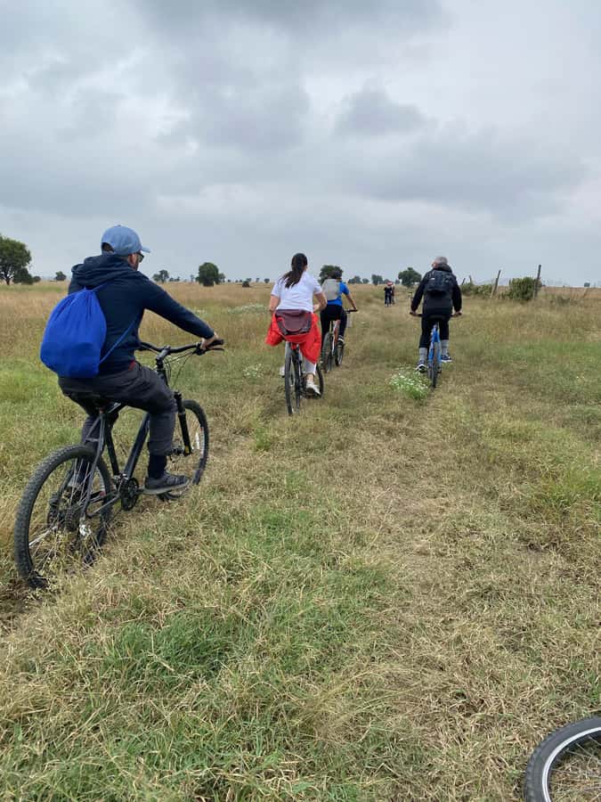 Nairobi: E-Bike/Cycling Wildlife Safari with Transfer & meal - Key Things I’d Plan Around