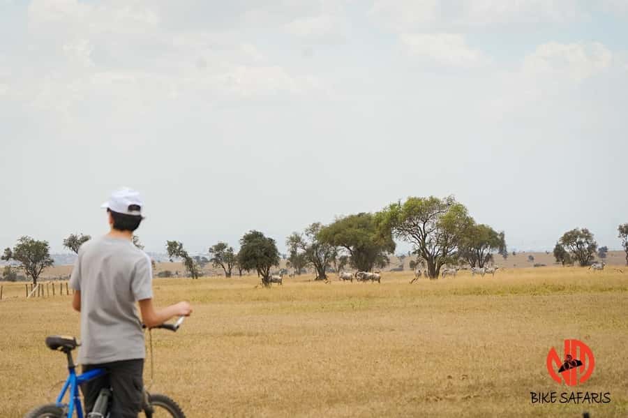 Nairobi: E-Bike/Cycling Wildlife Safari with Transfer & meal - The Guide Factor: Dennis, Noah, and How Guidance Changes Everything