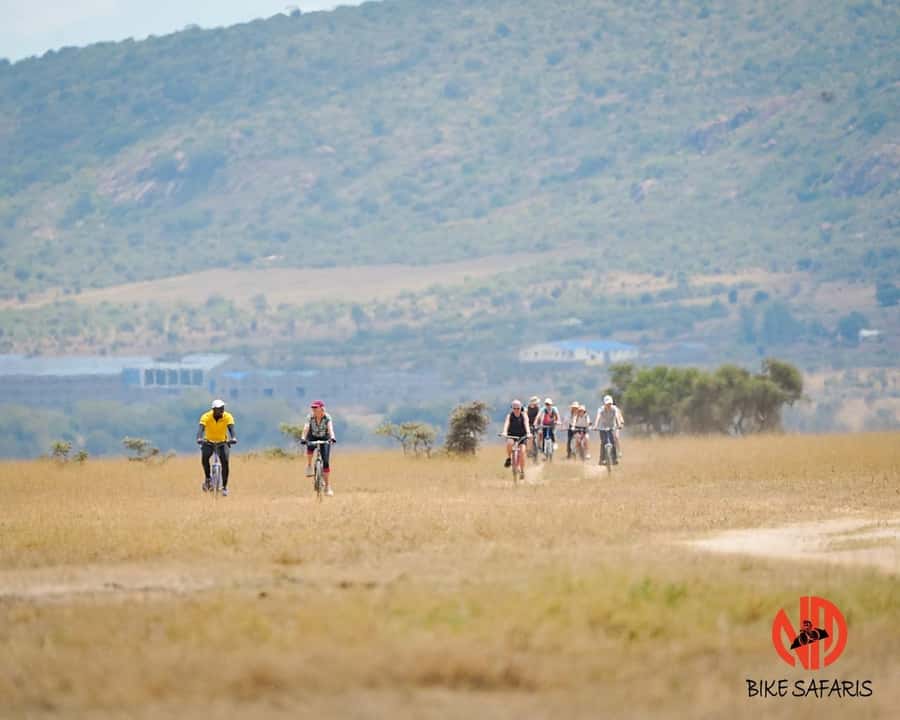 Nairobi: E-Bike/Cycling Wildlife Safari with Transfer & meal - Wildlife Safari on Two Wheels: What You’ll Actually See