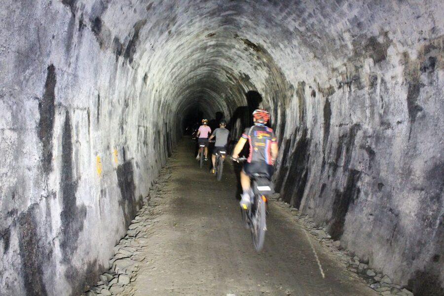 Nelson: Self-Guided Tunnel to Town Cycling Tour via Mapua - Rabbit Island and the Ferry: Beach Time and Landing in Mapua Wharf