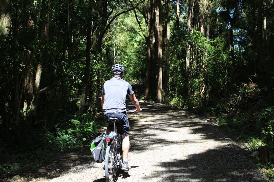 Nelson: Self-Guided Tunnel to Town Cycling Tour via Mapua - Bike Choice and Real-World Comfort: Comfort Bikes, Lights, and When E-Bikes Help