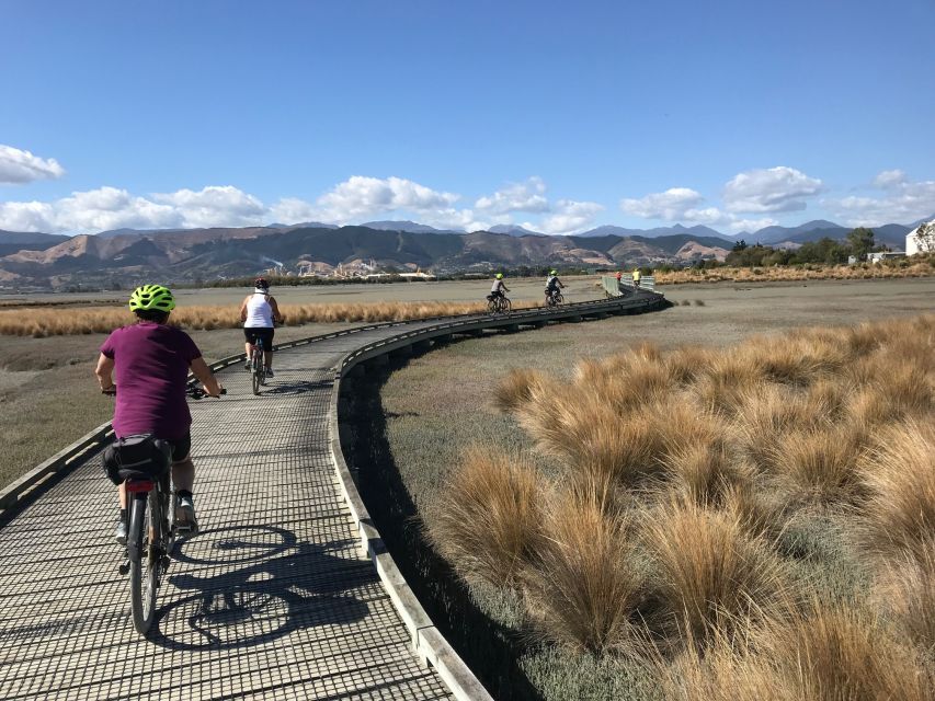 Nelson: Self-Guided Tunnel to Town Cycling Tour via Mapua - What It Costs, and Whether It Feels Like Value
