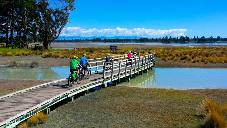 Nelson to Mapua: Full-Day Cycling Self-Guided Adventure - Key highlights before you ride