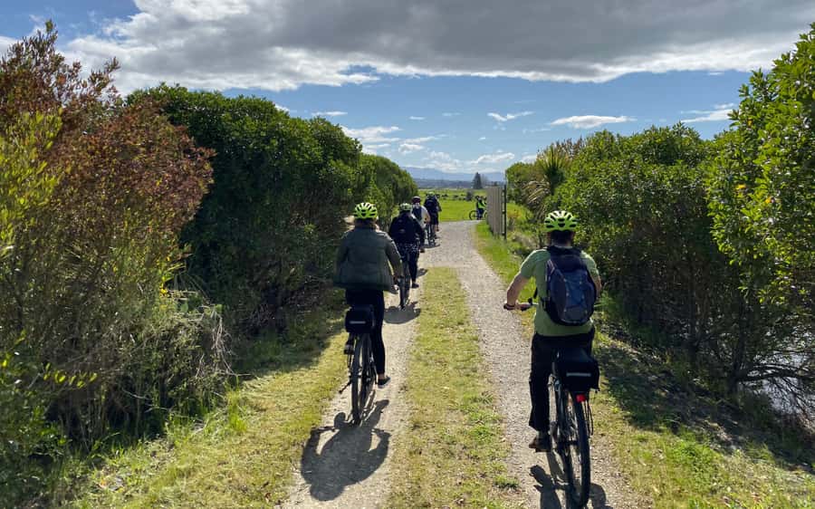 Nelson to Mapua: Full-Day Cycling Self-Guided Adventure - Should you book Nelson to Mapua cycling?