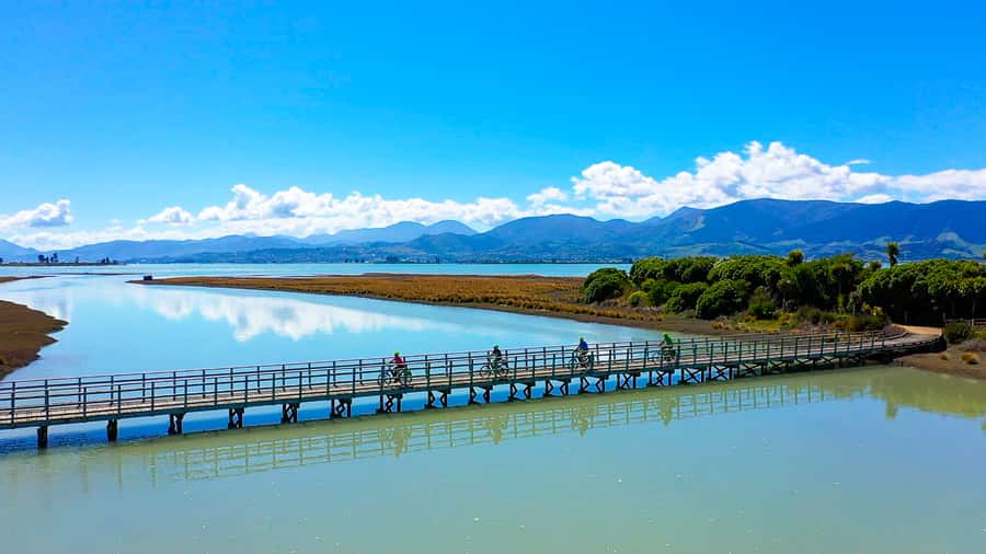 Nelson to Mapua: Full-Day Cycling Self-Guided Adventure - Starting in Nelson: cars, pubs, and the first taste stops