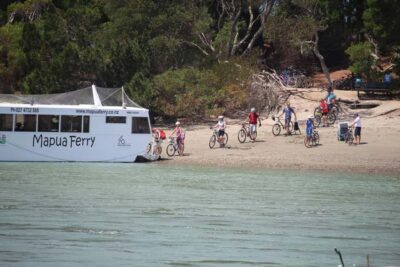 Nelson to Mapua: Full-Day Cycling Self-Guided Adventure - Gear and the self-guided format (the part that can make or break your day)