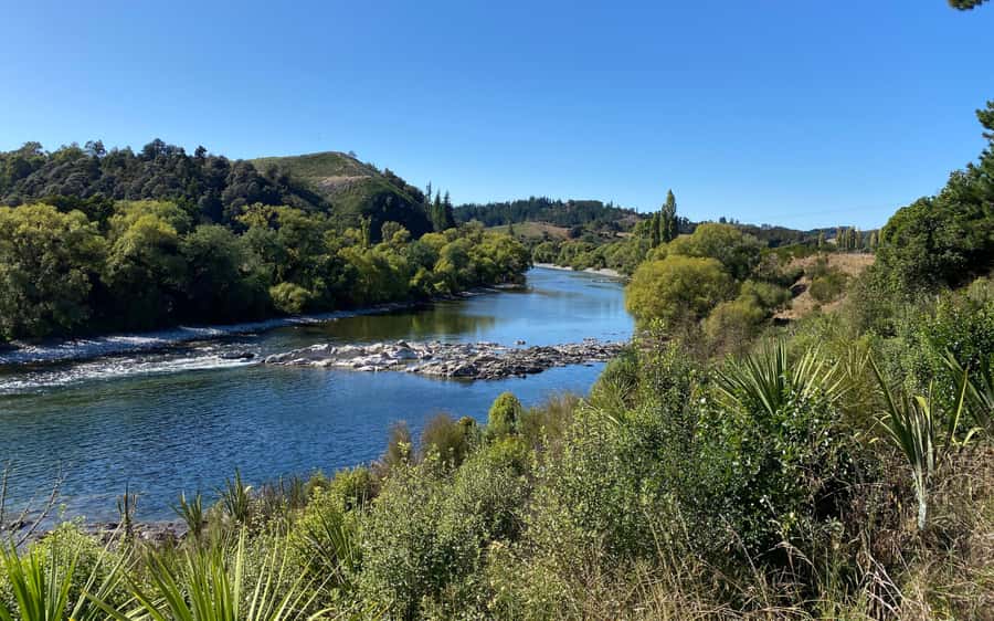 Nelson to Mapua: Full-Day Cycling Self-Guided Adventure - Rabbit Island: swim options and how to time your break
