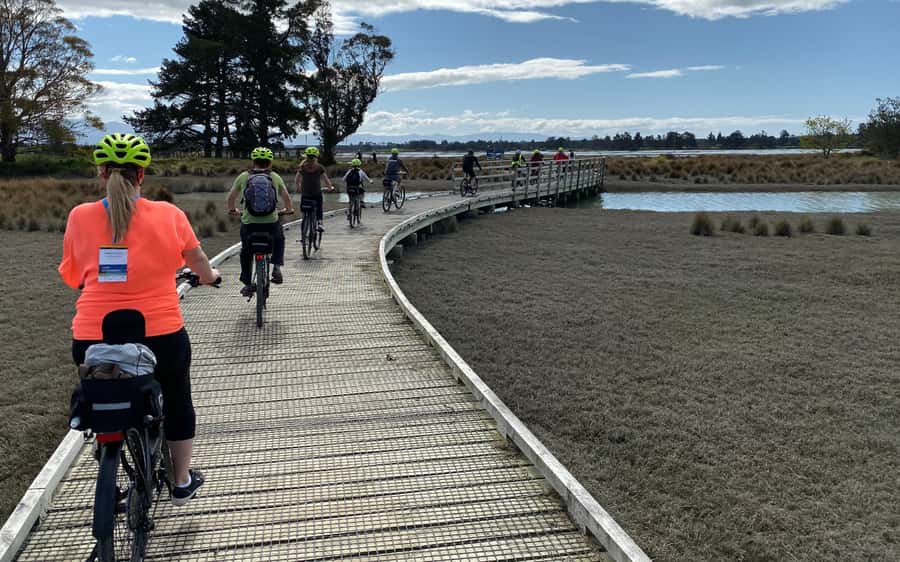 Nelson to Mapua: Full-Day Cycling Self-Guided Adventure - Mapua Ferry to the wharf: where the day ends and you eat for real