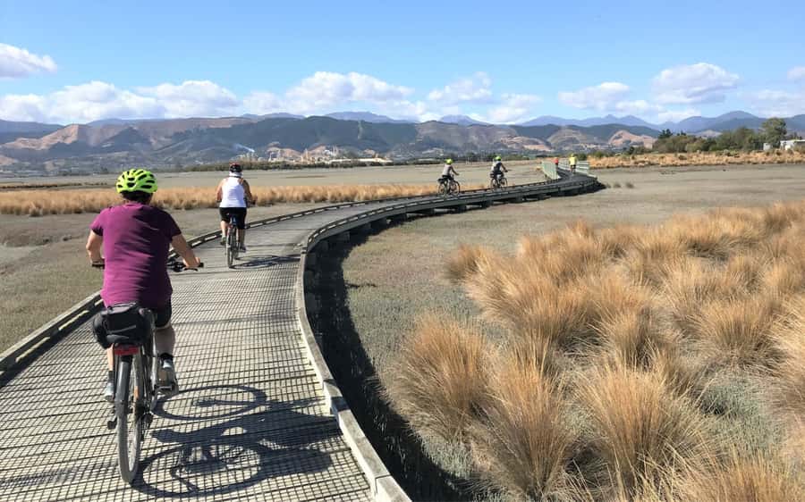 Nelson to Mapua: Full-Day Cycling Self-Guided Adventure - Price and value: what $77 covers and what it doesn’t