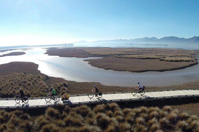 Nelson to Mapua: Full-Day Self-Guided Cycling Adventure - Key Things to Know Before You Pedal