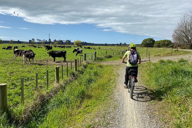 Nelson to Mapua: Full-Day Self-Guided Cycling Adventure - Stop by Stop Along the Tasman’s Great Taste Trail (What’s Worth Your Time)