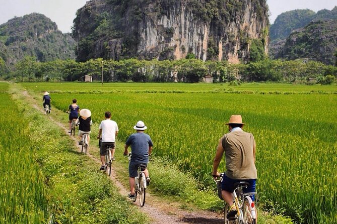 Ninh Binh 1 day trip with Hoa Lu- Tam Coc boat & Cycling village - Mua Caves / Hang Mua stop: choose your viewpoint energy